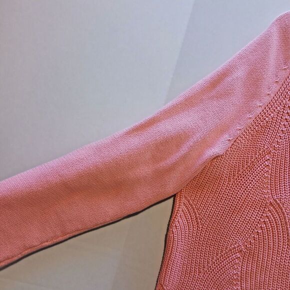 Talbot Pink and Warm Minimalist 2X Sweater 2021 - Picture 6 of 7